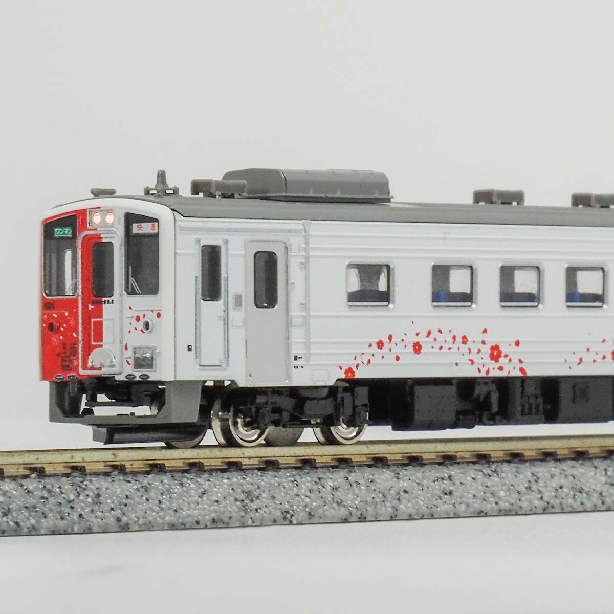 JR北海道キハ54形（500番代・地球探索鉄道花咲線ラッピングトレイン